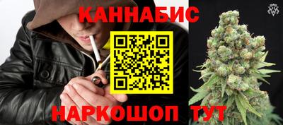 стафф Новозыбков