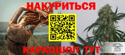 стафф Новозыбков
