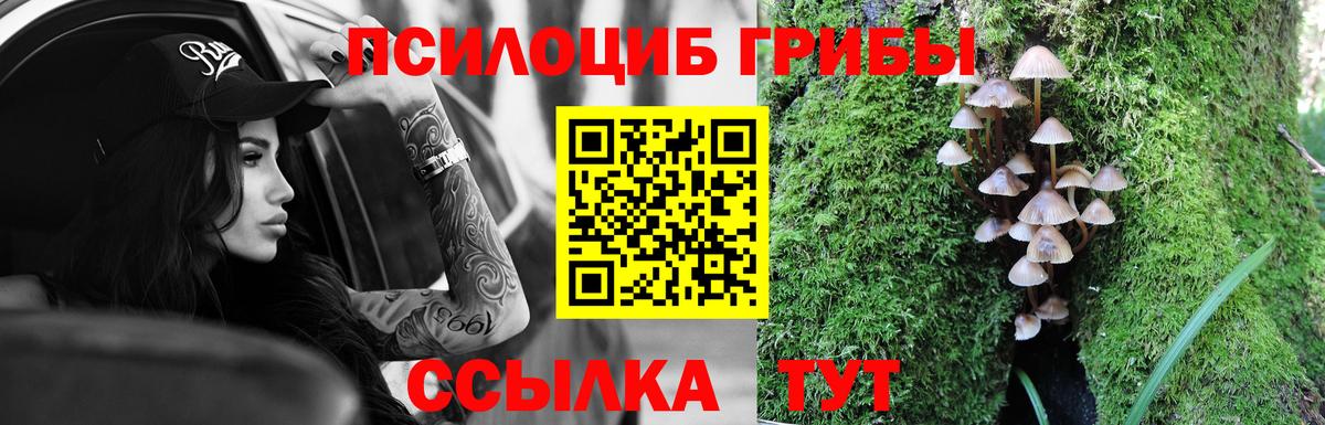 Пыть-Ях  Псилоцибиновые грибы Magic Shrooms  Вход с VPN 
